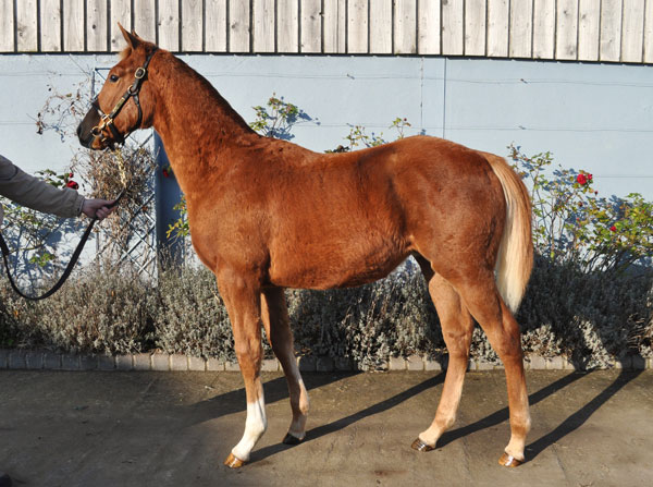 lot 645